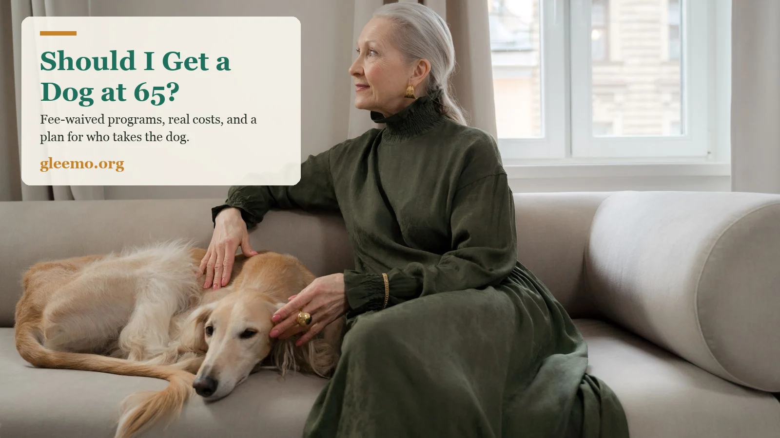 Should I Get a Dog at 65? Fee-Waived Programs, Real Costs