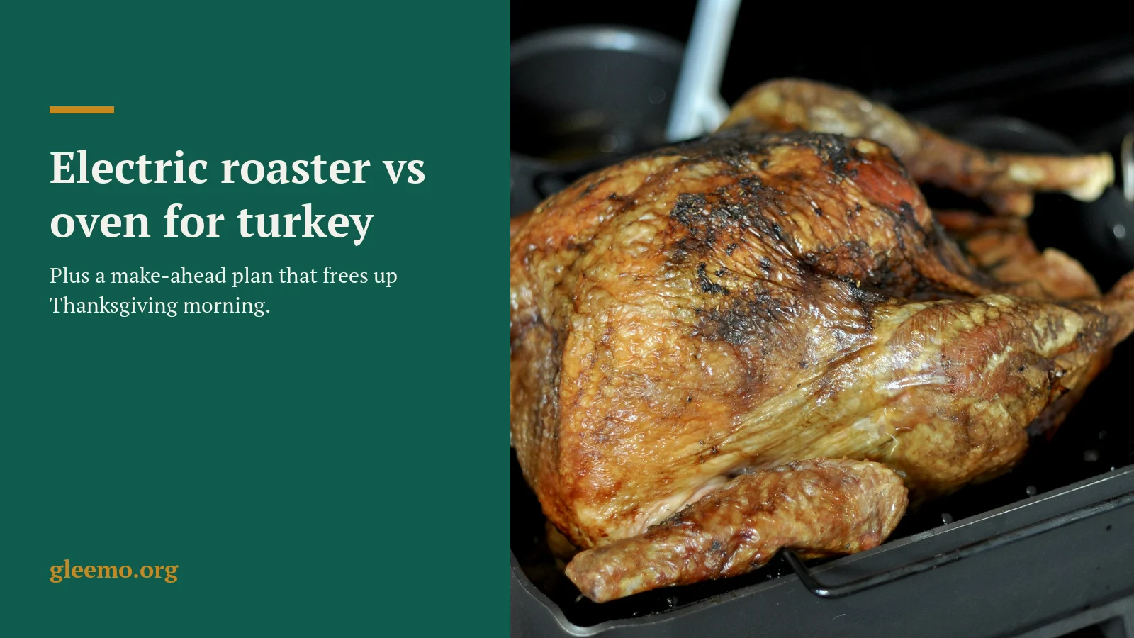 A golden-brown roasted turkey in a dark roasting pan.